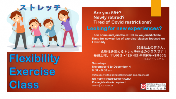 55+ Flexibility class flyer